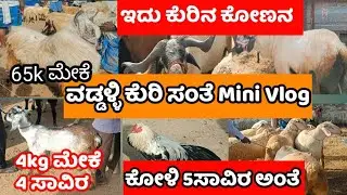 ವಡ್ಡಳ್ಳಿ ಕುರಿ ಸಂತೆಯ mini Vlog || 40Kg ಮೇಕೆ 63 ಸಾವಿರ ಅಂತೆ ಗುರು || ಕೋಳಿ 5 ಸಾವಿರ ಅಂತೆ || ismart Diganth