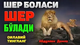 Абдуллох Домла 2023-Шер боласи шер бўлади, оилавий тингланг!-Abdulloh Domla 2023 