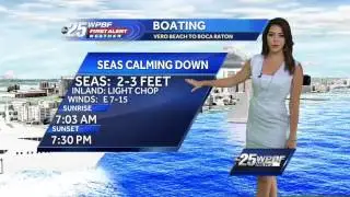 Vanessa's Video Forecast