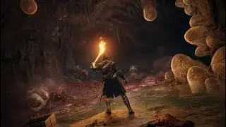 Can I beat Elden Ring with only a torch? [Part 2]