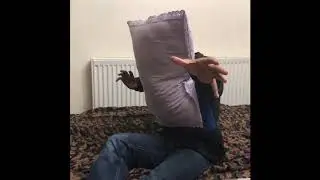 bahu bali pillow bhangra