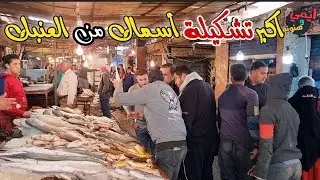 رحلة البحث 🐟 عن افضل انواع الاسماك داخل أكبر واقوي حلقة سمك بالسويس