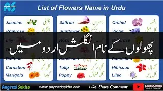Flowers Name in Urdu Hindi | Flowers Vocabulary | پھولوں کے نام اردو انگلش میں
