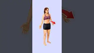 Directional terms for human anatomy 3d illustration #anatomy #anatomyandphysiology