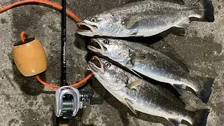 speckled trout fishing at night (seawolf park parking lot edition) Galveston, Texas