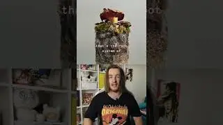 Самая необычная кожа в мире!