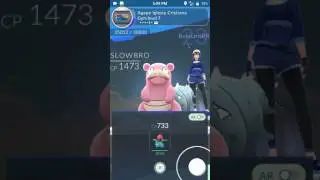 New Gym bug yay