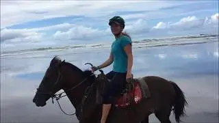 Costa Rica Horses Pelican in  Sugar | Remix By MeeTaL SnaKe | No Copyrighted ...