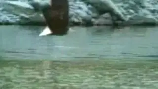 Day Of The Eagle