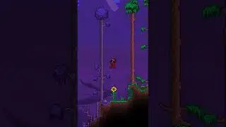 Лучшие баги в ТЕРРАРИЯ terraria  
