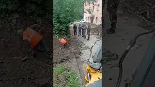 Вот они миллионеры стоят  