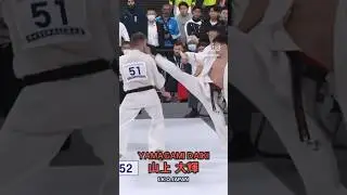 13 World Open Karate Tournament 2023. #kyokushin #iko #top #like #лайки #подпишись #ko #一拳ko #рнфкк