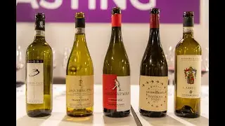 Golosaria 2024 - Wine tasting Barbera d'Asti