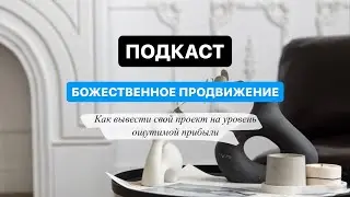 Как вывести свой проект на уровень ощутимой прибыли