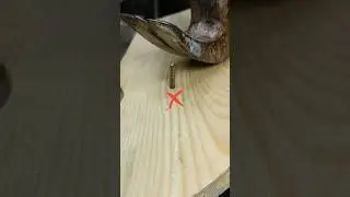 Remember this trick on how to pull out a nail.