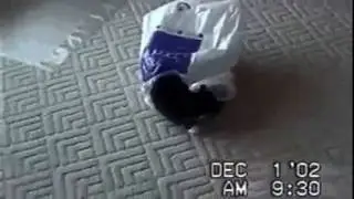 Смеялись до слёз!