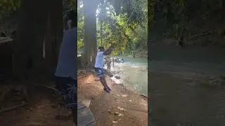 Streamz Palmz River is Amazing #shortsvideo #travel #explorejamaica #trendingshorts #nature