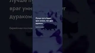 Будет умным О жизни - цитаты 