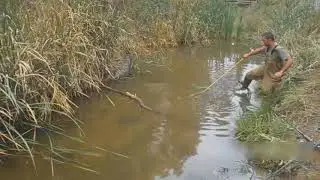 Ловись рыбка ....