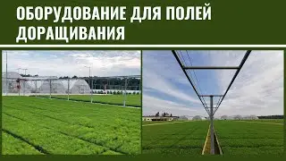 Поля доращивания (ЗКС) и оборудование Urbinati
