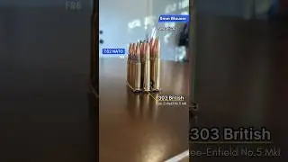 Which Rifle Sounds Best?