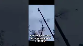 Отправили в космос