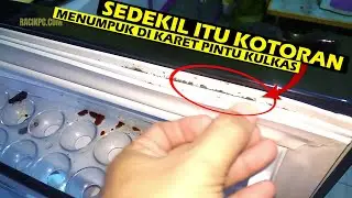 How to Clean the Door Gasket of the Latest LG Inverter Refrigerator Without Removing It, Safe and...