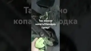 15 мая 2024 г.