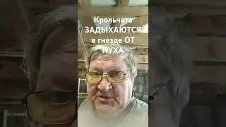 Крольчата задохнулись в гнезде от ПУХА. Правда или ложь?