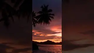 Discover the Ultimate Tropical Paradise!