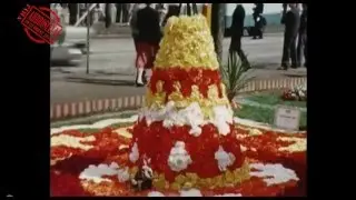 Begoniafestival 1958