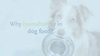 Isomaltulose: A Highly Palatable, Slow-Release Carbohydrate For Feed