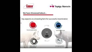 Replay webinar: “Heat Detection Score and Sperm Dose Management at the Breeding Farm