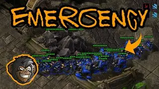 Cyclone All In Defense Guide (Z&P) | WATCH BEFORE YOU LADDER