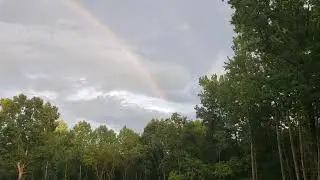 Радуга во время ☔ дождя