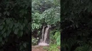 Due to Heavy Rain 😳 റാണിപുരത്തിന്റെ ഭീകര മുഖം #heavyrain #horrible #situation #mansoon