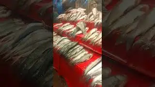 #viral