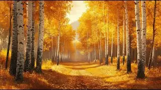Autumn Forest TV Screen Saver