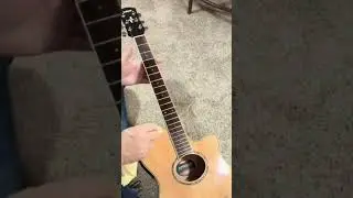 Formula 65 Lemon Oil // Guitar Fret Board