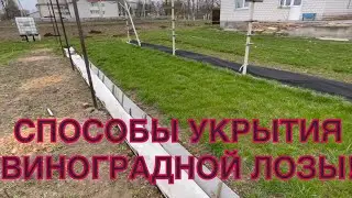 Мои способы укрытия винограда!