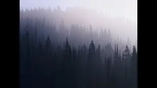 MEME ТАНЦУЙТЕ #1