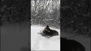 ХОРОШИЕ ДЕНЬГИ НА ПРИРОДЕ. 😊