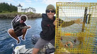 Trapping for Ocean Creatures?!? (Trap + Clean + COOK)