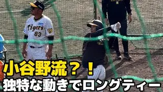 【小谷野コーチ発案？】サイドステップで後ろに下がってからスイングを行う練習【ロングティー】【阪神秋季キャンプ】