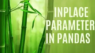 Mastering the inplace Parameter in Pandas: When and How to Use It ?