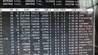 I want to show to the public what is causing my cinnamon process in Linux Mint to exceed 100%.