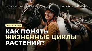 ТЕПЕРЬ ТЫ ПОЙМЕШЬ ЦИКЛЫ РАСТЕНИЙ | ЕГЭ ПО БИОЛОГИИ 2024 | НОО