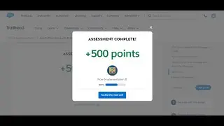Handle Flow Errors with Fault Paths | Flow Implementation II - Trailhead Salesforce 