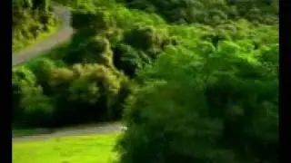 arabayı takip et