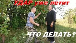 Удар рукой уже летит, как среагировать оптимально